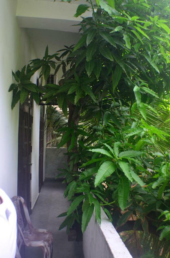 Steps Backpackers Hostel コロンボ エクステリア 写真